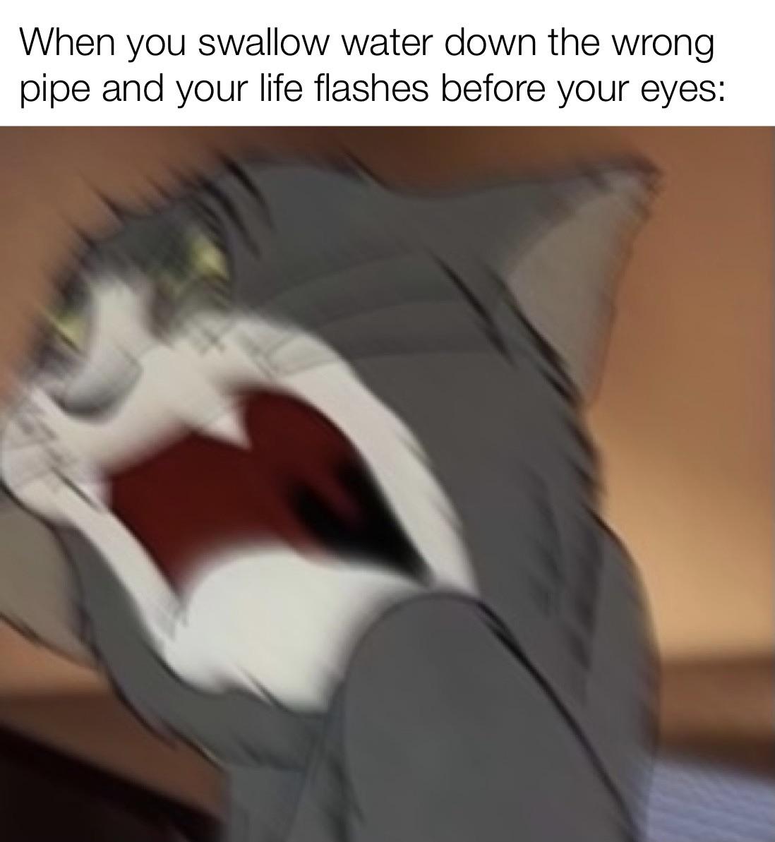 dank memes - funny memes - tom no meme - When you swallow water down the wrong pipe and your life flashes before your eyes