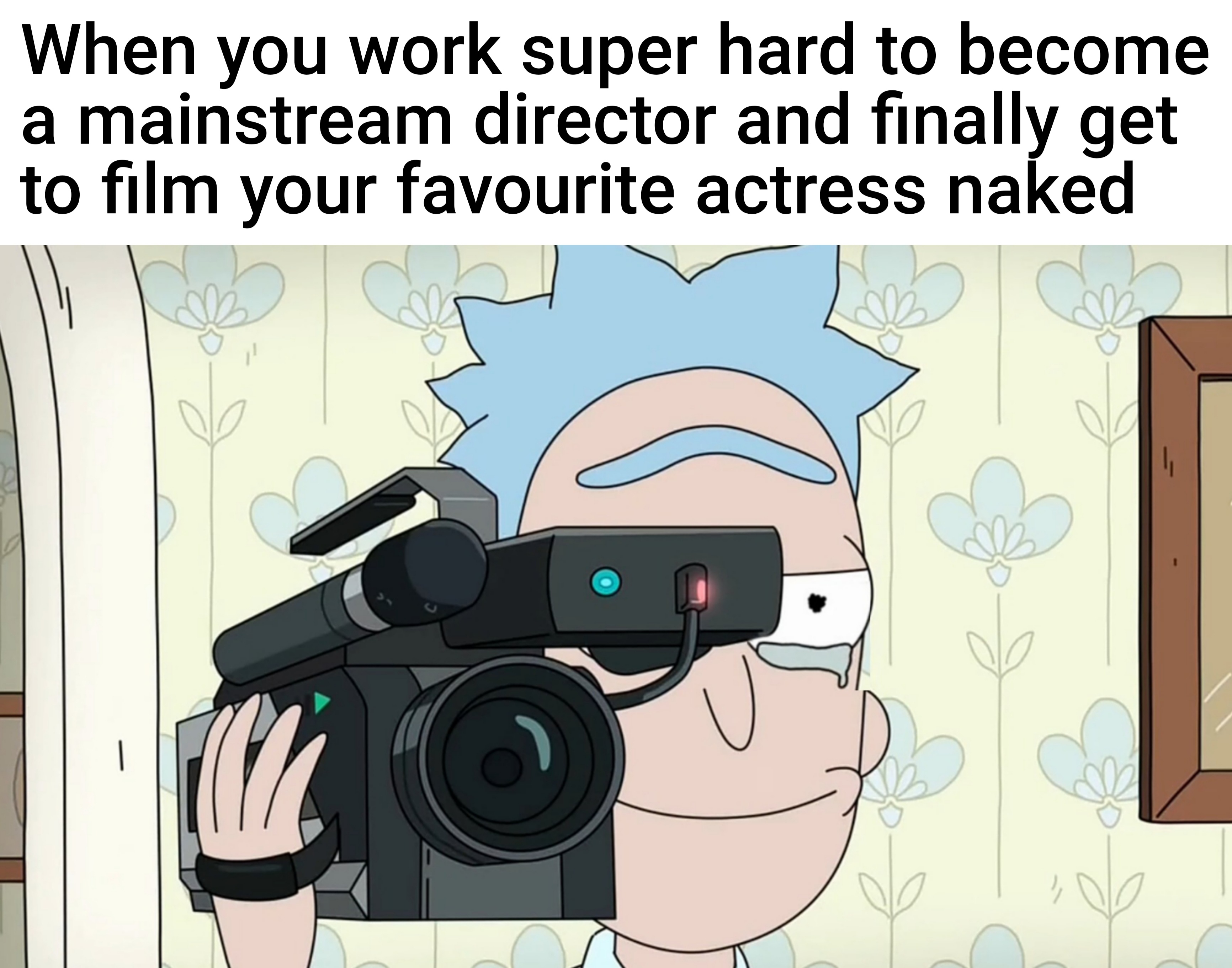 dank memes - funny memes - love daddy rick and morty - When you work super hard to become a mainstream director and finally get to film your favourite actress naked all