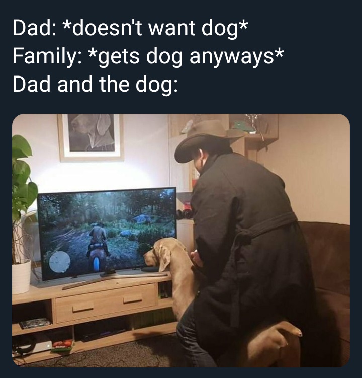 rad dad memes - Dad doesn't want dog Family gets dog anyways Dad and the dog