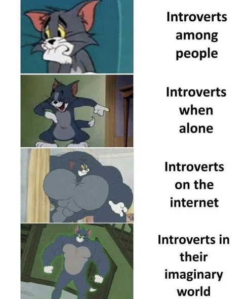 introverts in their imagination - Introverts among people Introverts when alone Introverts on the internet Introverts in their imaginary world
