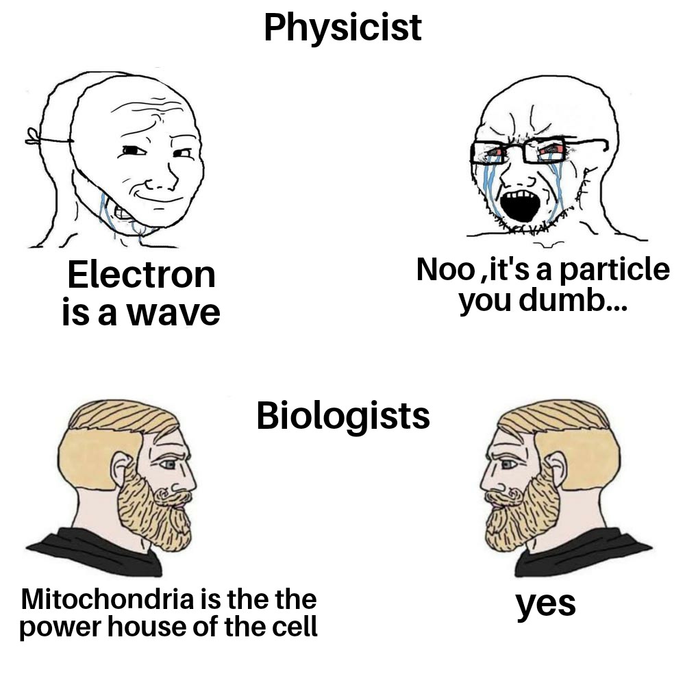 aragorn lotr memes - Physicist Electron is a wave Noo, it's a particle you dumb... Biologists Mitochondria is the the power house of the cell yes