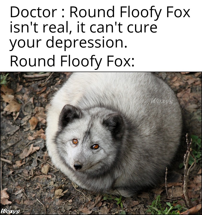 fat arctic fox - Doctor Round Floofy Fox isn't real, it can't cure your depression. Round Floofy Fox Woxys Woxys