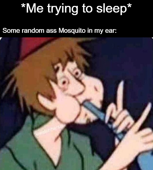 hillbilly anime - Me trying to sleep Some random ass Mosquito in my ear