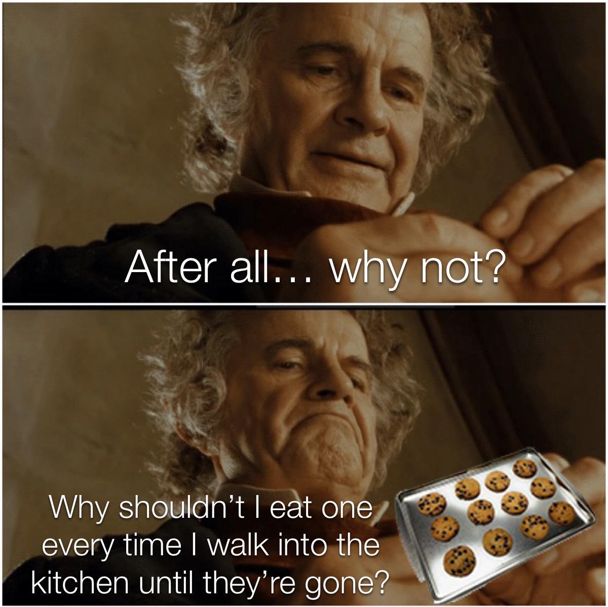 after all why not meme template - After all... why not? Why shouldn't I eat one every time I walk into the kitchen until they're gone?