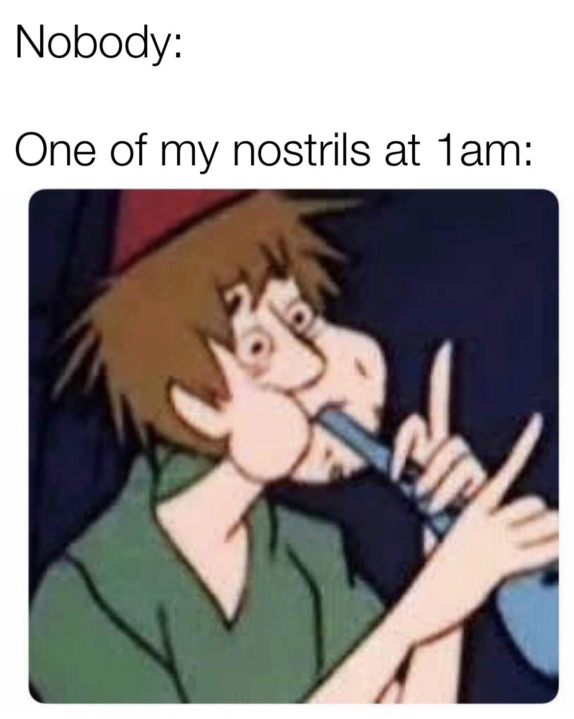 hillbilly anime - Nobody One of my nostrils at 1am