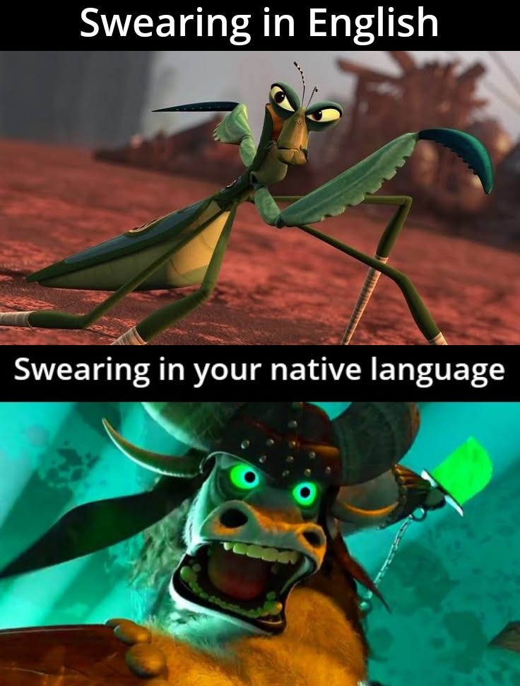 kai kung fu panda - Swearing in English Swearing in your native language