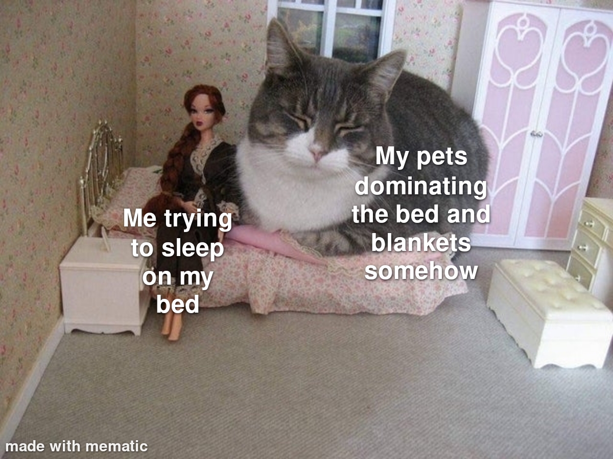 cats in dollhouses - Me trying to sleep on my bed My pets dominating the bed and blankets somehow made with mematic