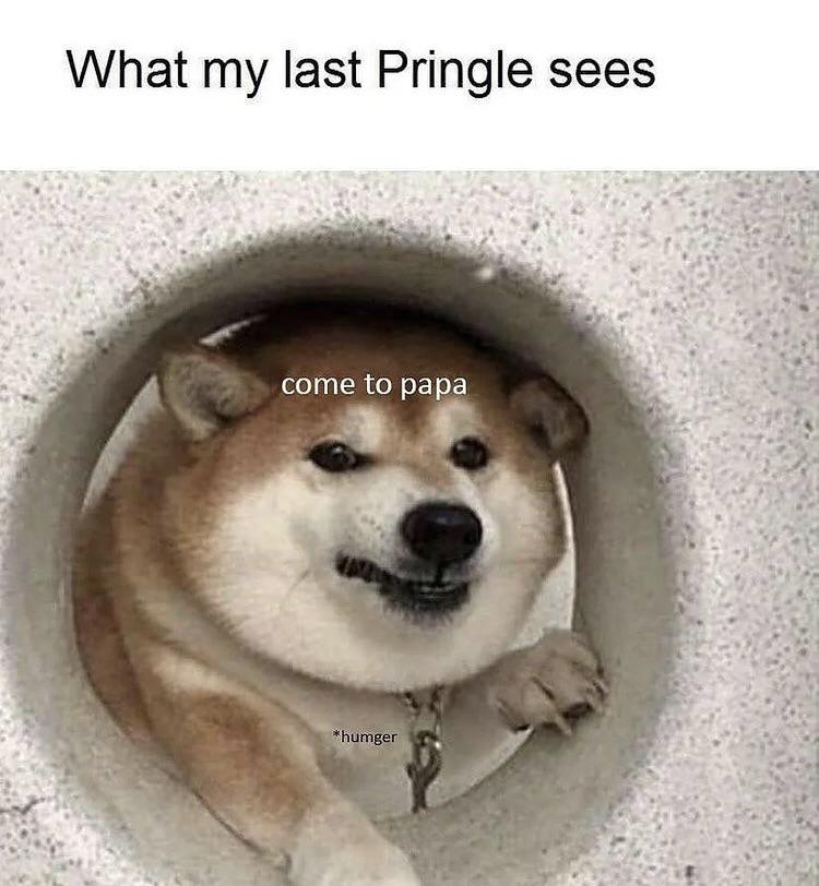 you can t reach the last pringle - What my last Pringle sees come to papa humger