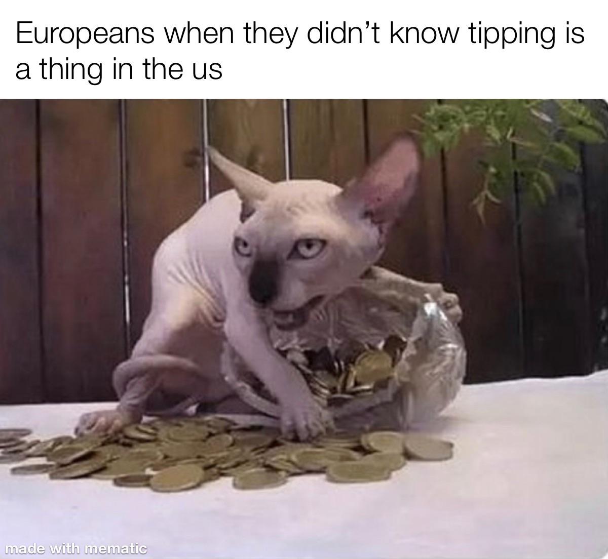 my precious cat meme - Europeans when they didn't know tipping is a thing in the us made with mematic