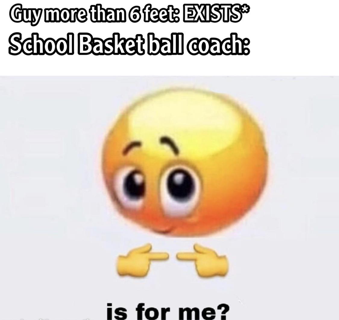 dream smp memes funny - Guy more than 6 feet Exists School Basketball coach is for me?