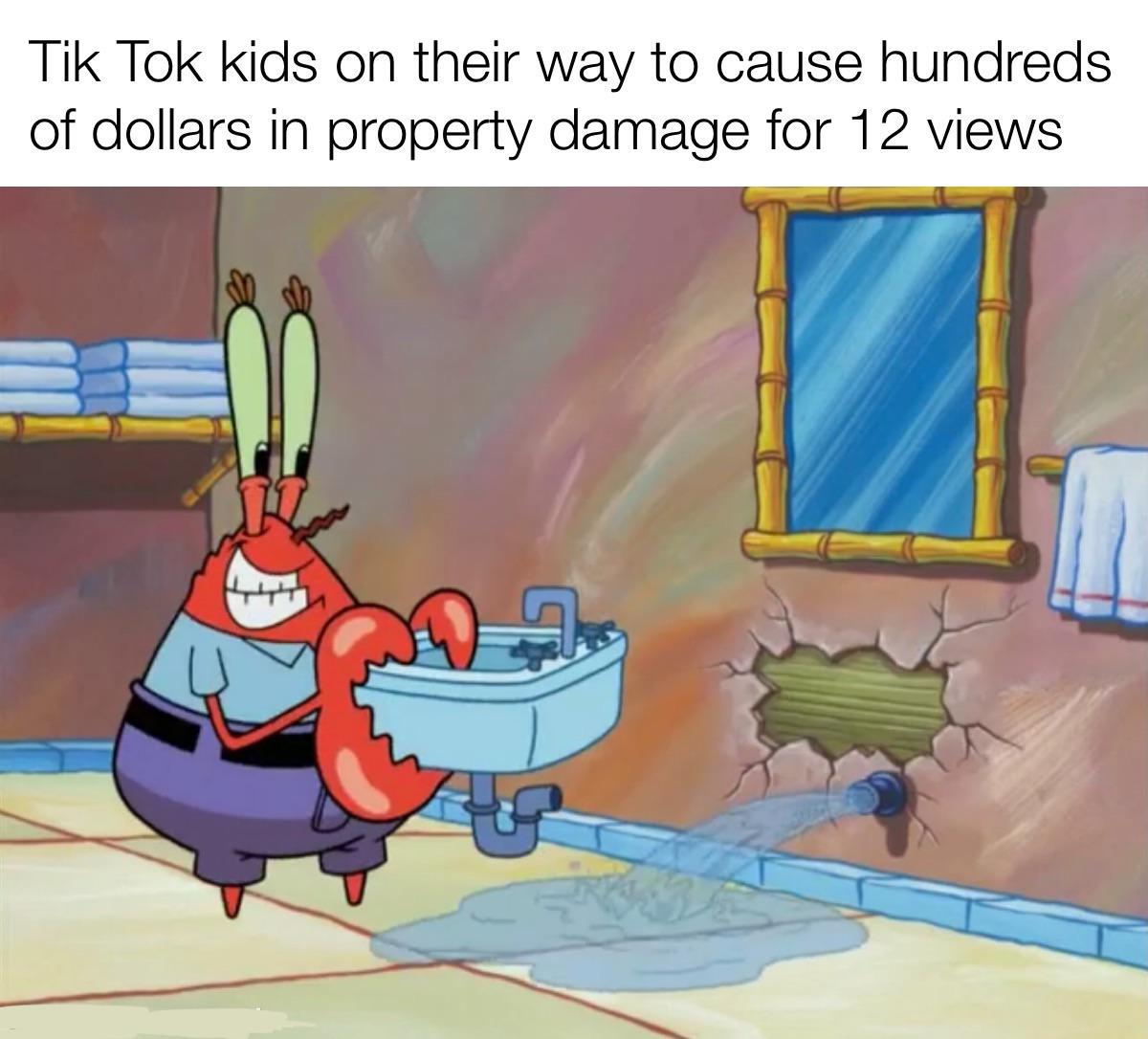 cartoon - Tik Tok kids on their way to cause hundreds of dollars in property damage for 12 views