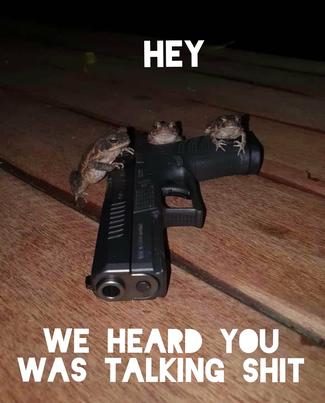 frogs with a glock - Hey We Heard You Was Talking Shit