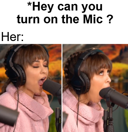 Hey can you turn on the Mic ? Her