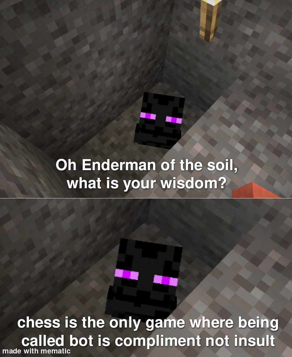 enderman meme - Oh Enderman of the soil, what is your wisdom? chess is the only game where being called bot is compliment not insult made with mematic