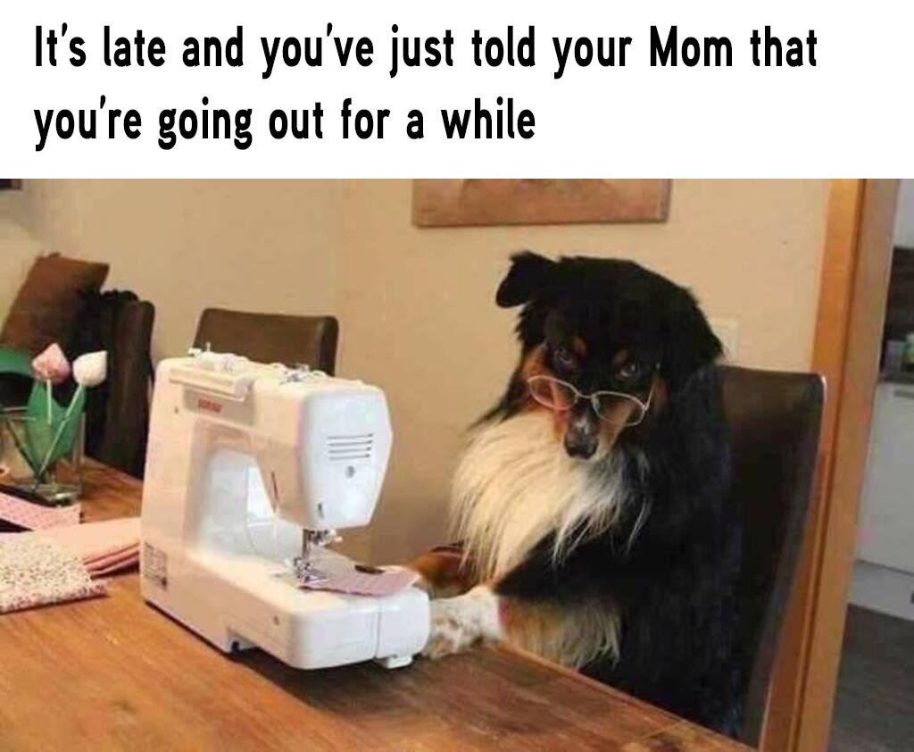 dog at sewing machine - It's late and you've just told your Mom that you're going out for a while Mi