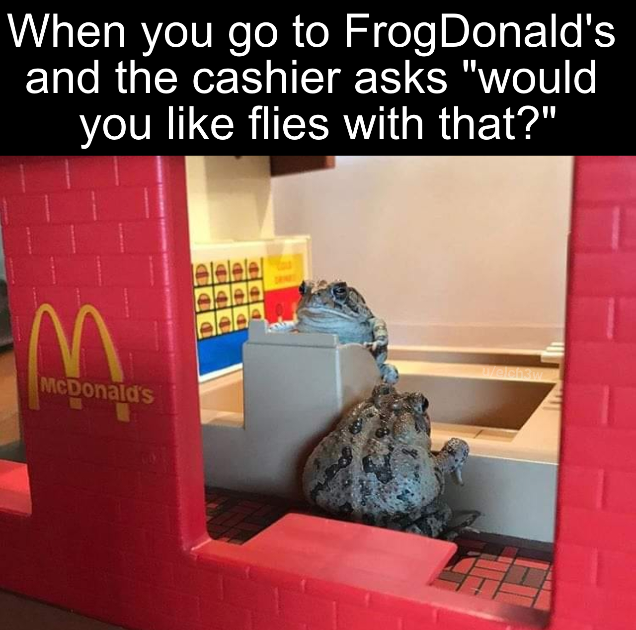 small fly please meme - When you go to FrogDonald's and the cashier asks "would you flies with that?" n McDonald's