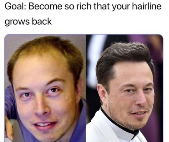 elon musk aging - Goal Become so rich that your hairline grows back