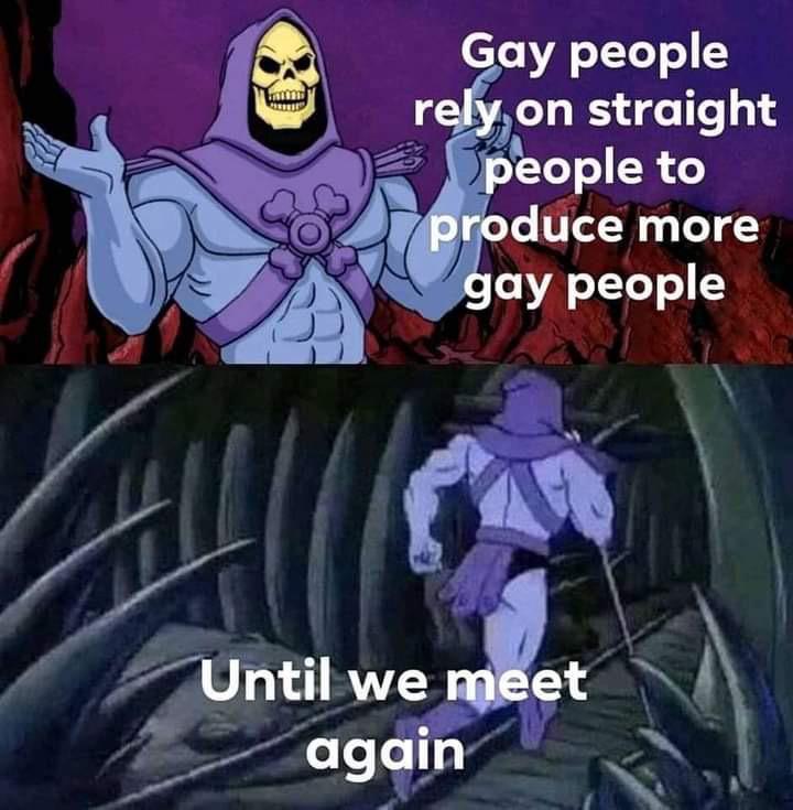 funny memes - dank memes - skeletor meme template - Gay people rely on straight people to produce more gay people Until we meet again