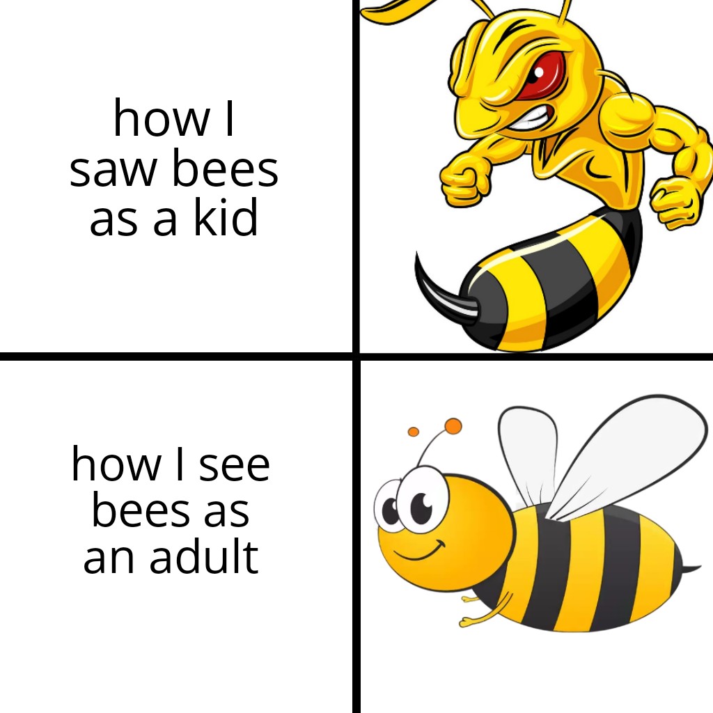 funny memes - dank memes - angry hornet cartoon - how | saw bees as a kid how I see bees as an adult