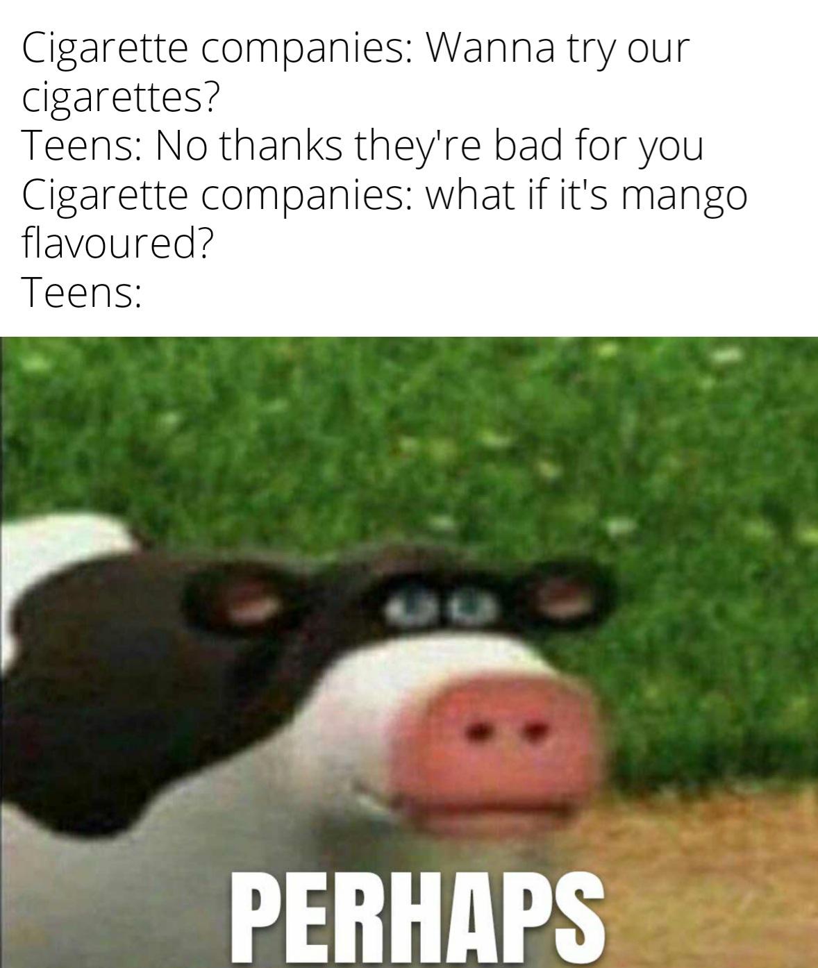 funny memes - dank memes - do you kiss your mother with that mouth meme - Cigarette companies Wanna try our cigarettes? Teens No thanks they're bad for you Cigarette companies what if it's mango flavoured? Teens Perhaps
