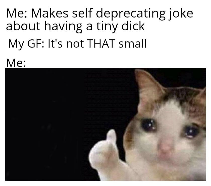 funny memes - dank memes - self esteem going down meme - Me Makes self deprecating joke about having a tiny dick My Gf It's not That small Me