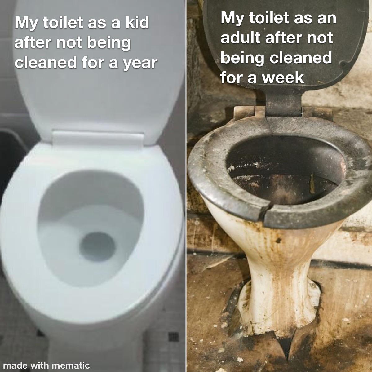 toilet - My toilet as a kid after not being cleaned for a year My toilet as an adult after not being cleaned for a week made with mematic