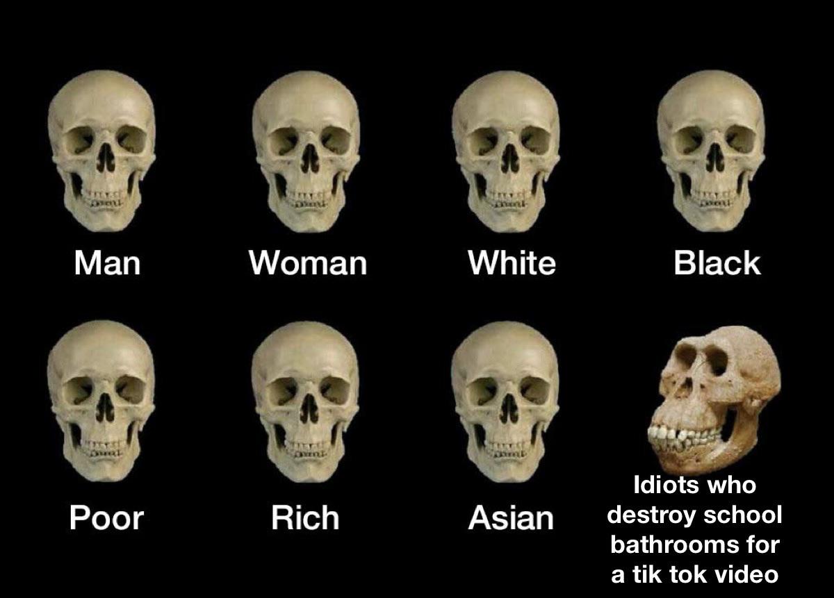 tik tok user meme - Ses Le See Man Woman White Black Net One Poor Rich Asian Idiots who destroy school bathrooms for a tik tok video