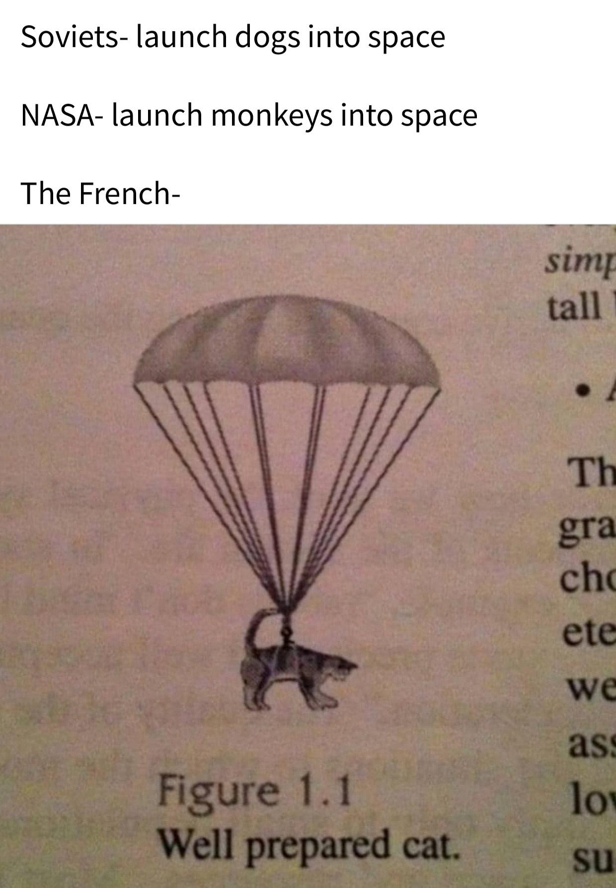 well prepared cat - Sovietslaunch dogs into space Nasalaunch monkeys into space The French sim tall Th gra cho ete we ass lo Figure 1.1 Well prepared cat. su