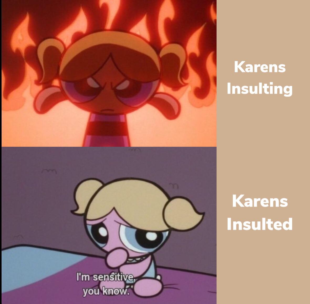 aesthetic mood bubbles powerpuff girls - Karens Insulting Karens Insulted I'm sensitive, you know.