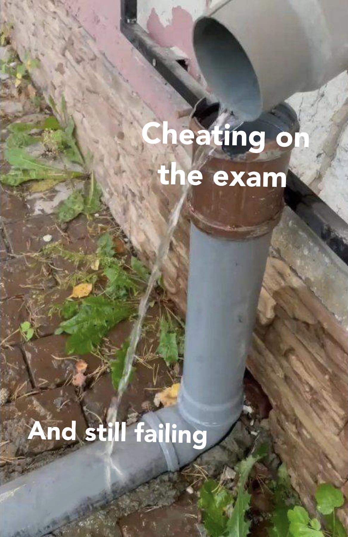 dank memes - soil - Cheating on the exam And still failing