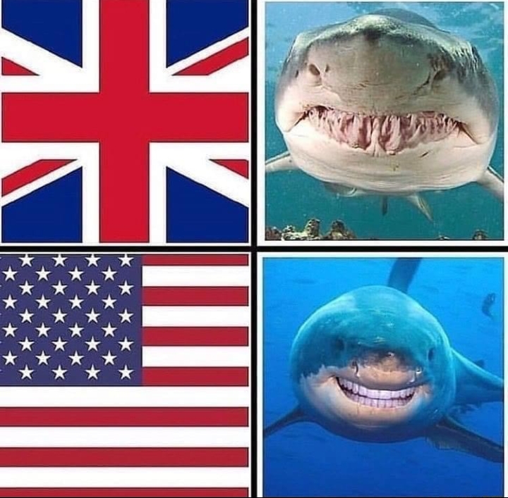 dank memes - australia flag without union jack - Se