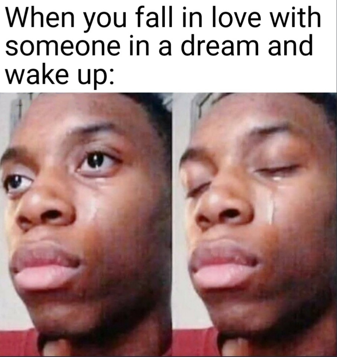 sad meme template - When you fall in love with someone in a dream and wake up