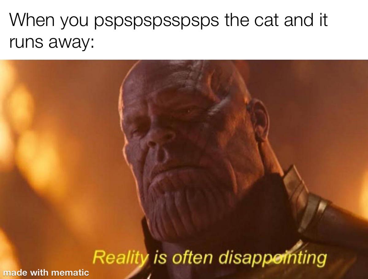 memes to cure depression - When you pspspspsspsps the cat and it runs away Reality is often disappointing made with mematic
