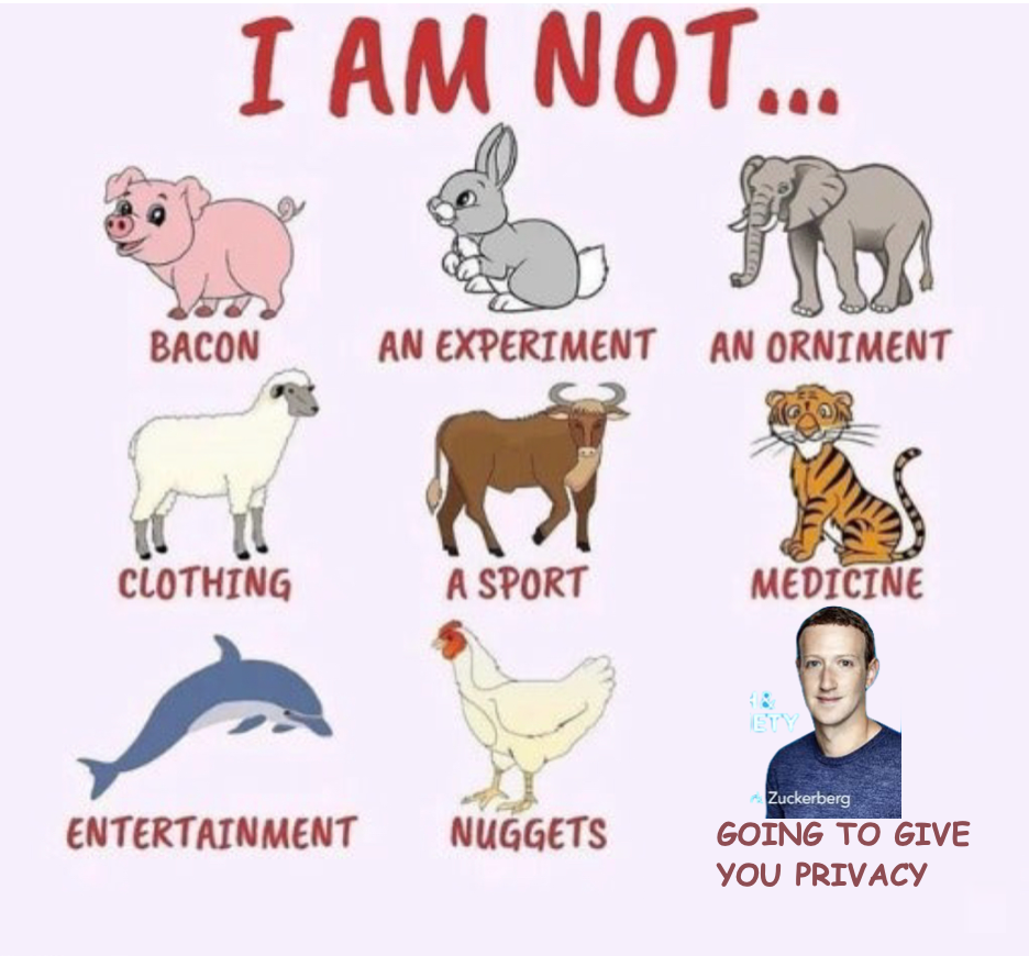 Medicine - I Am Not... Re Bacon An Experiment An Orniment Clothing A Sport Medicine Entertainment Nuggets Zuckerberg Going To Give You Privacy