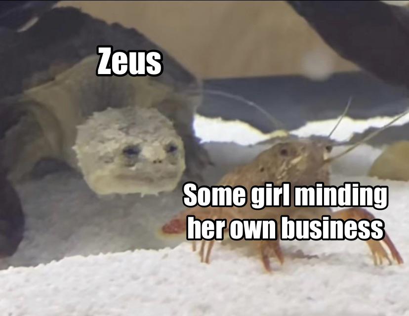 fauna - Zeus Some girl minding her own business