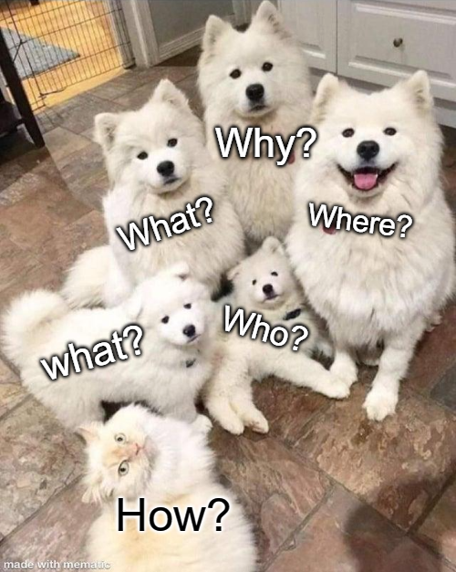 cute dog family - Why? Where? What? Who? what? How? made with inemas