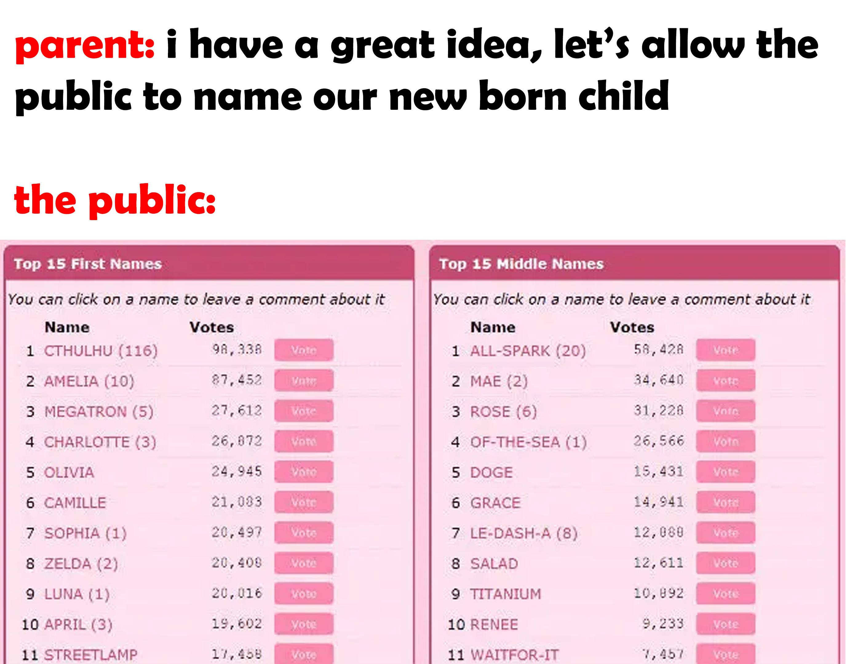 hilarious memes - number - parent i have a great idea, let's allow the public to name our new born child the public Top 15 Middle Names Top 15 First Names You can click on a name to leave a comment about it Name Votes 1 Cthulhu 116 9A, 338 Vote 2 Amelia 1