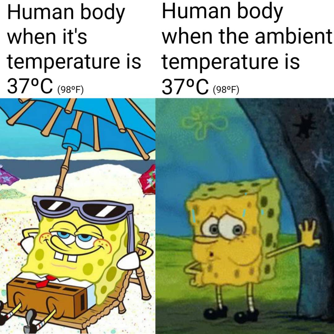 hilarious memes - Human body Human body when it's when the ambient temperature is temperature is 37C 98F 37C 9801