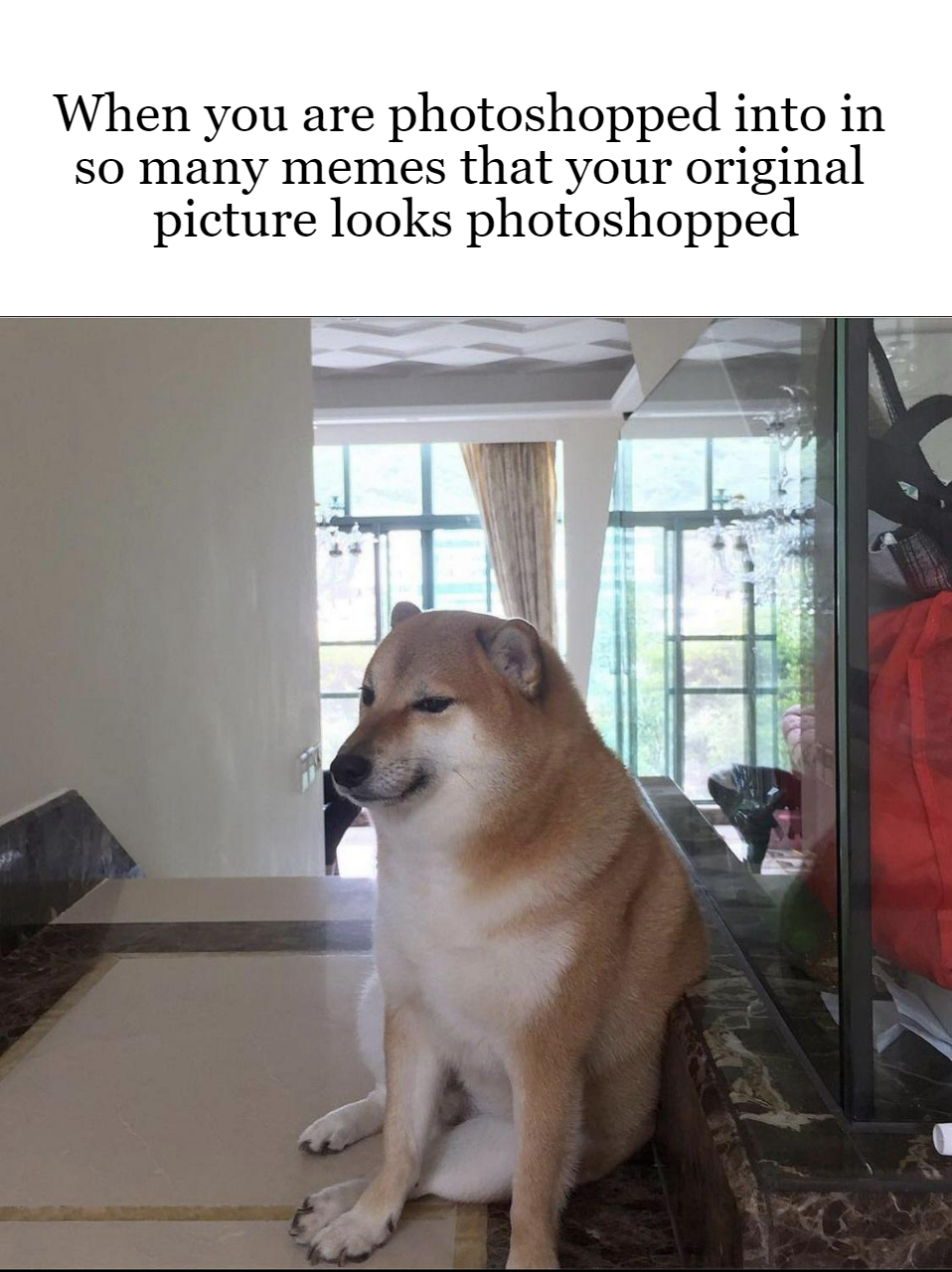 hilarious memes - seamus o connor doge - When you are photoshopped into in so many memes that your original picture looks photoshopped