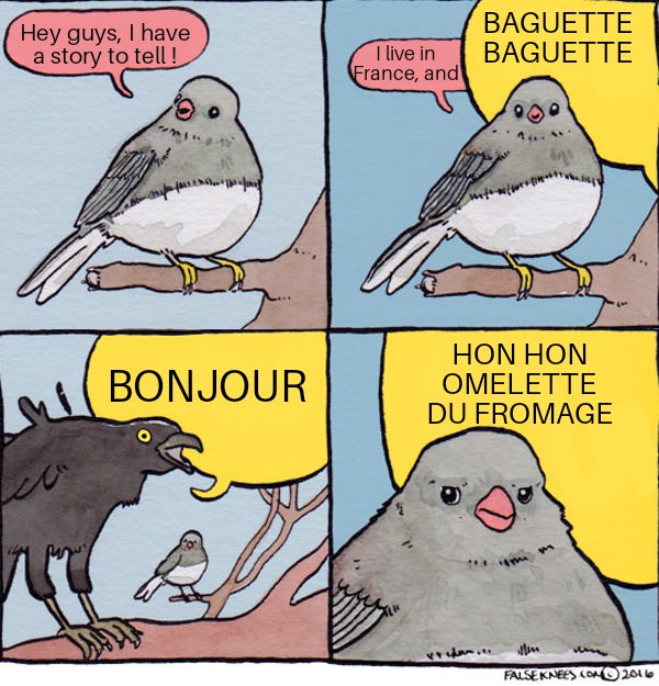 dub vs sub meme - Hey guys, I have a story to tell ! Baguette Baguette I live in France, and Bonjour Hon Hon Omelette Du Fromage "Am rest Falseknees No 2016