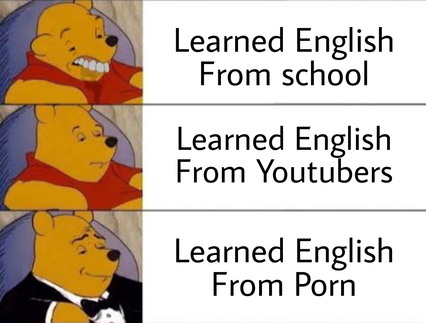 winnie the pooh meme - Learned English From school Learned English From Youtubers Learned English From Porn