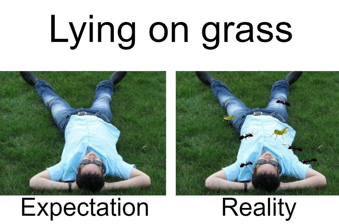 grass - Lying on grass Expectation Reality