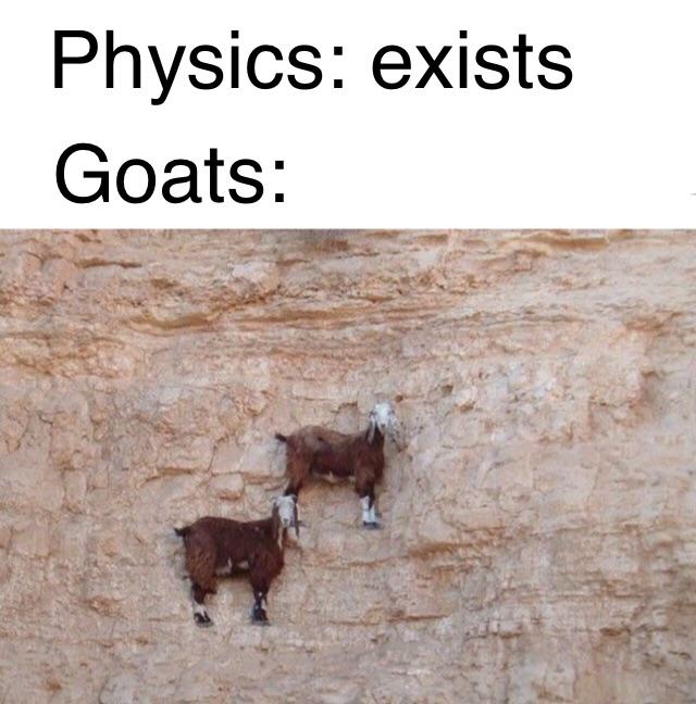 fourth dimension is goat - Physics exists Goats