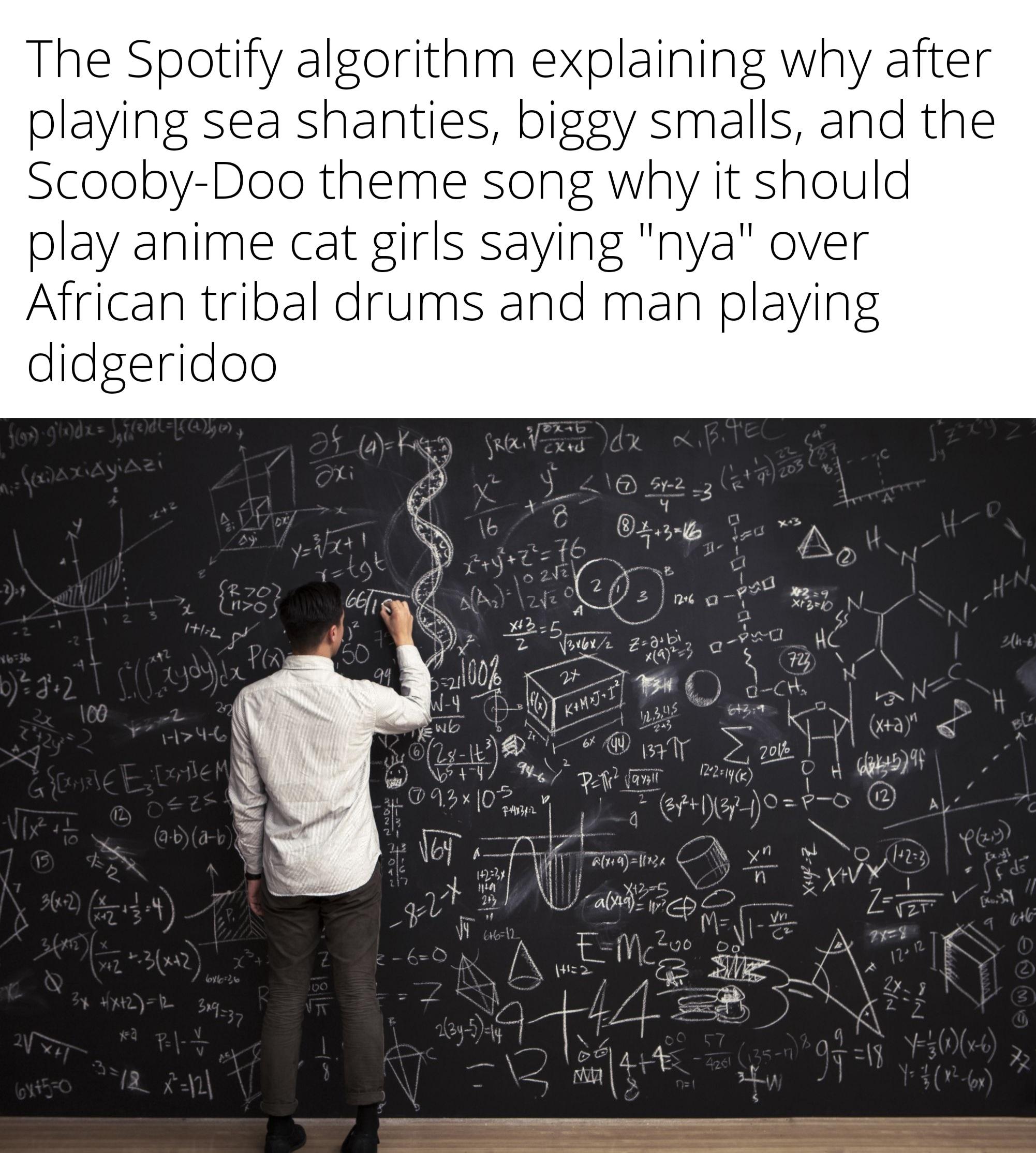 math equation chalkboard - The Spotify algorithm explaining why after playing sea shanties, biggy smalls, and the ScoobyDoo theme song why it should play anime cat girls saying "nya" over African tribal drums and man playing didgeridoo face dx Nete 24276 