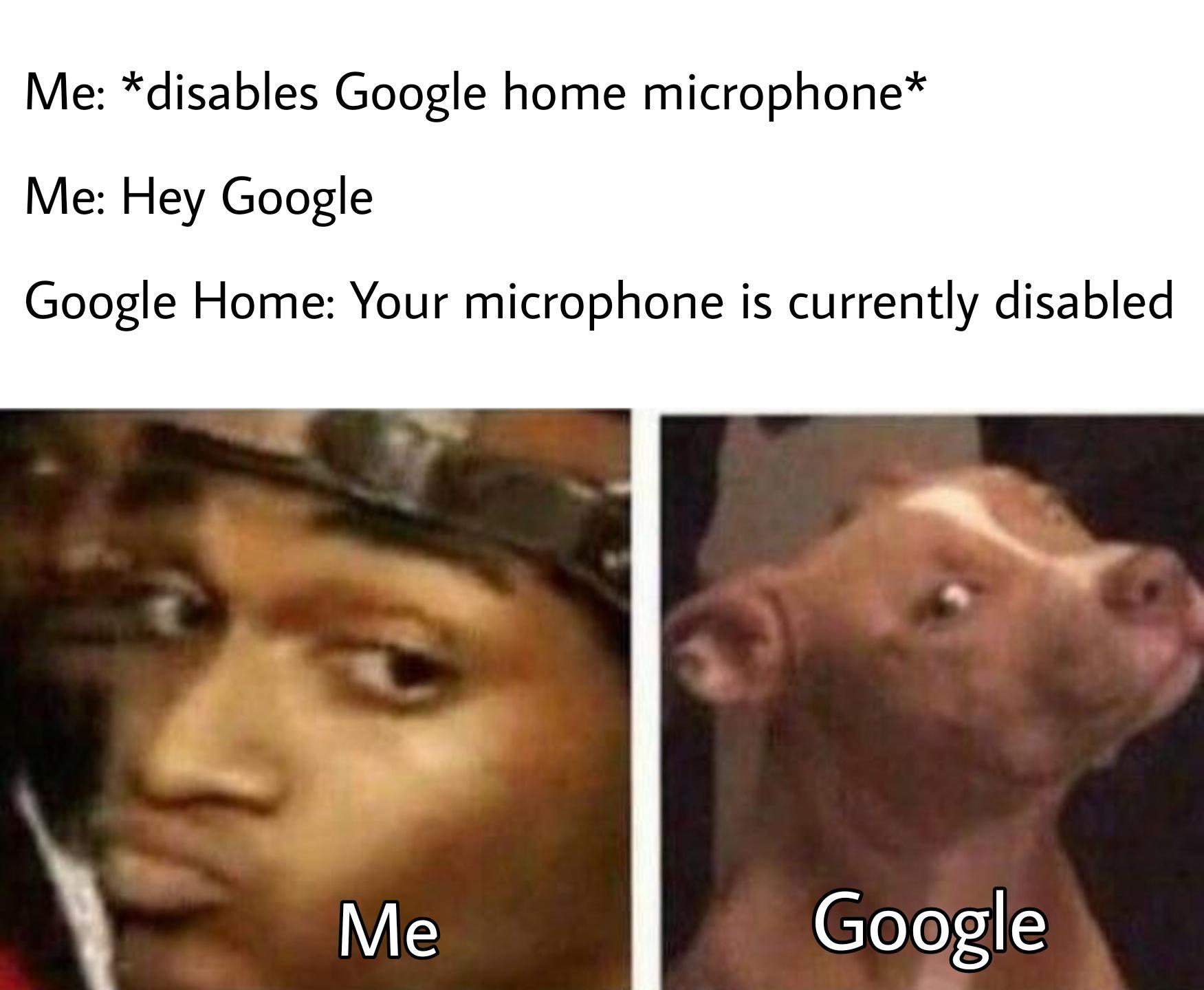 come in he don t bite - Me disables Google home microphone Me Hey Google Google Home Your microphone is currently disabled Me Google