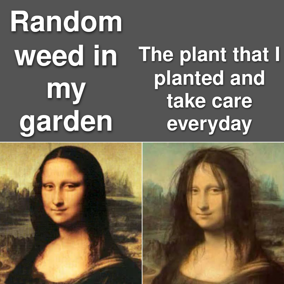 mona lisa painting - Random weed in The plant that I my planted and take care garden everyday
