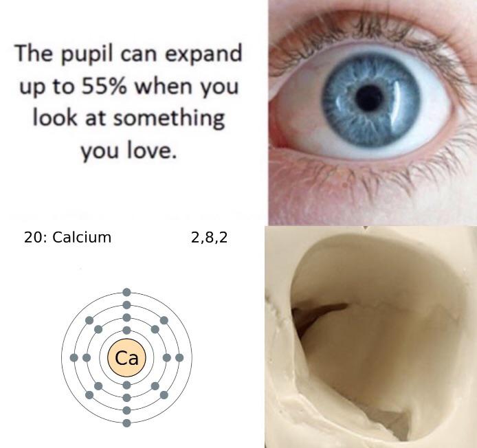 unordinary memes - The pupil can expand up to 55% when you look at something you love. 20 Calcium 2,8,2 Ca