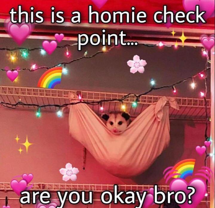 homie check - this is a homie check point... are you okay bro?
