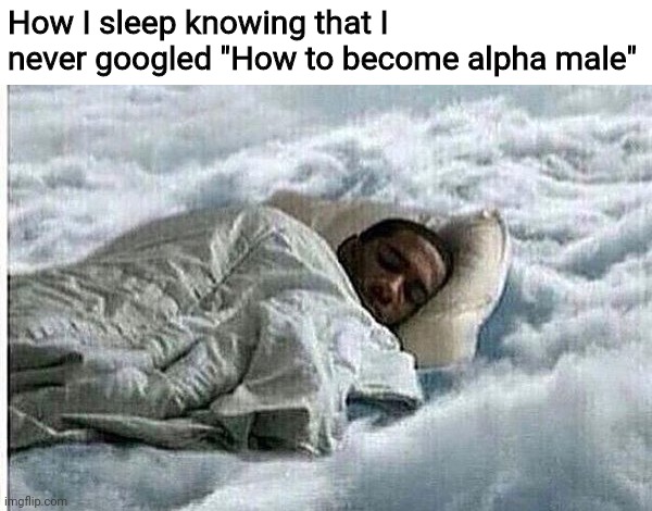 i m a disappointment meme - How I sleep knowing that I never googled "How to become alpha male" imgflip.com