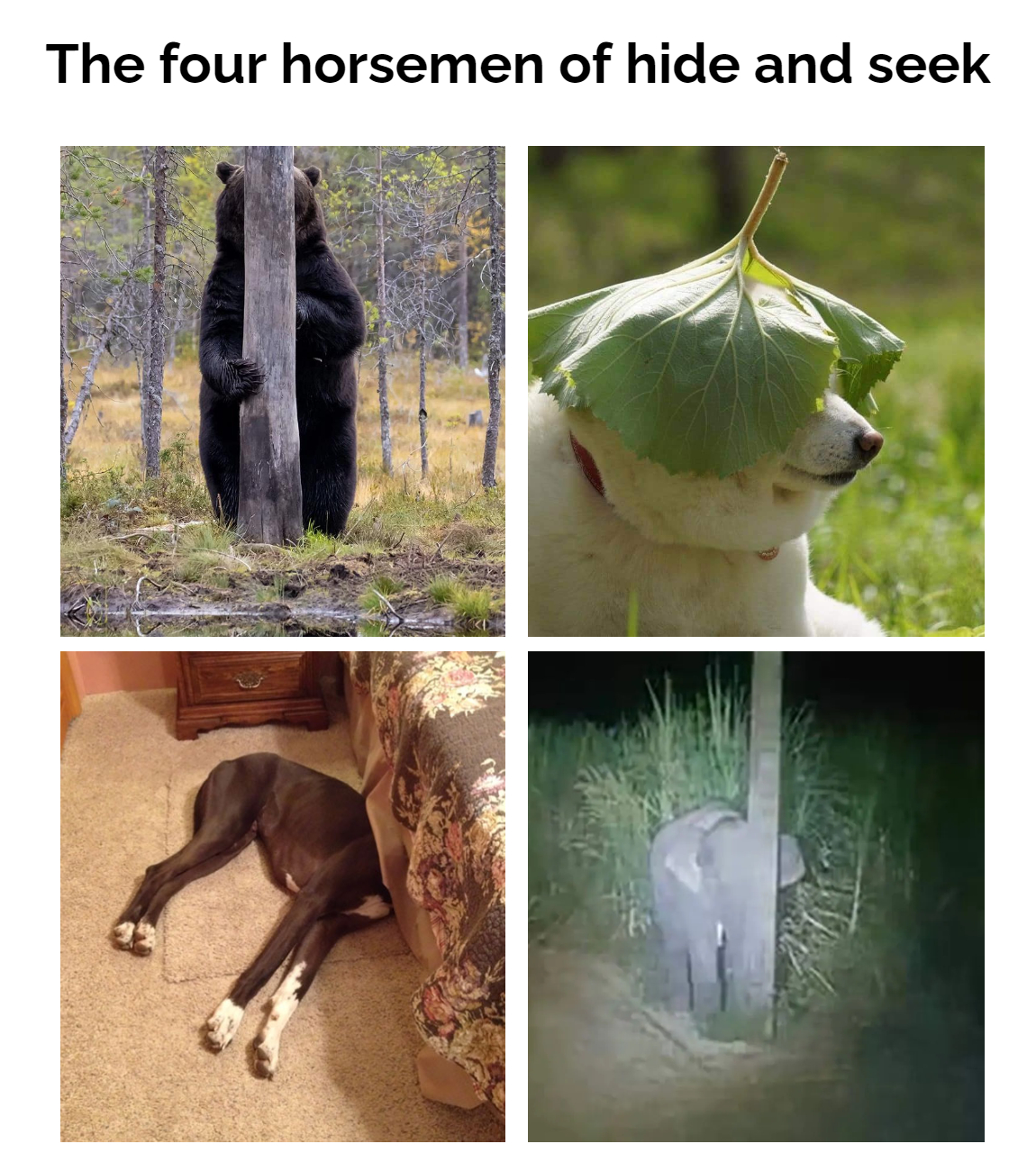 fauna - The four horsemen of hide and seek